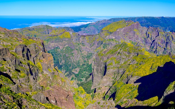 Simon Dannhauer/Shutterstock