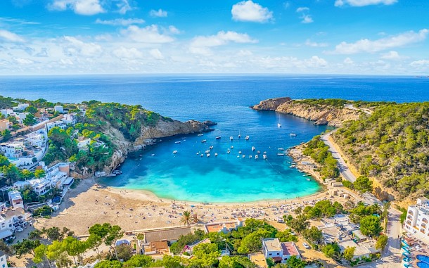 Balate.Dorin/Shutterstock